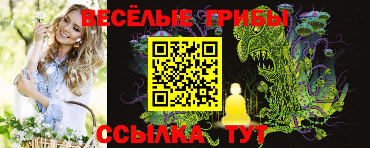 Галлюциногенные грибы Cubensis  Вход с VPN  Нижнекамск  Галлюциногенные грибы прущие грибы 